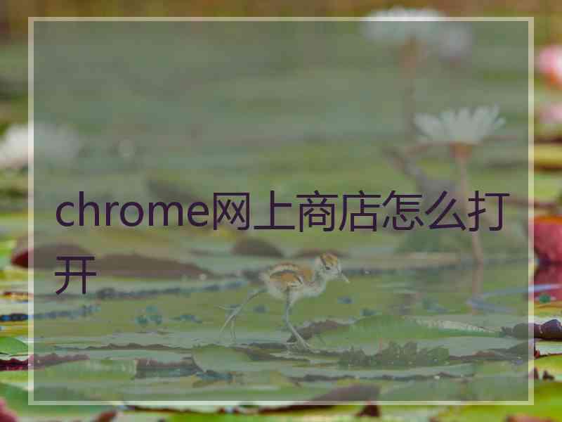 chrome网上商店怎么打开
