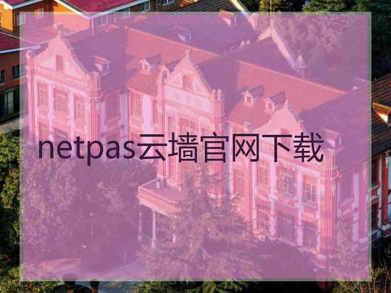 netpas云墙官网下载