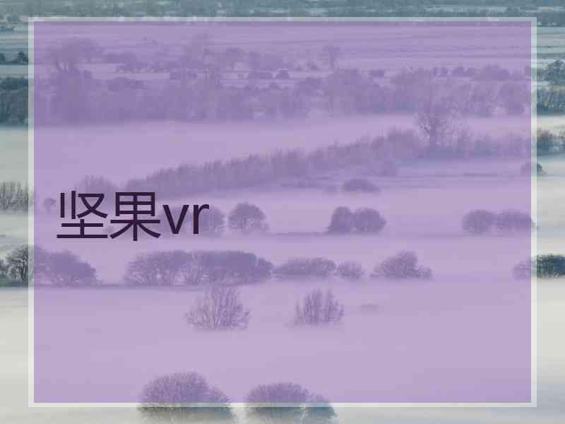 坚果vr