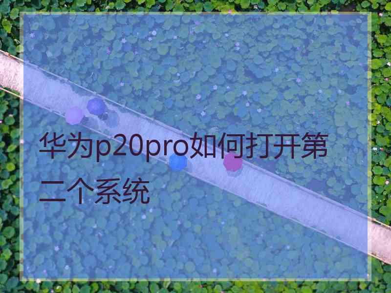 华为p20pro如何打开第二个系统