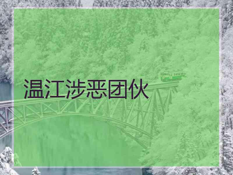 温江涉恶团伙