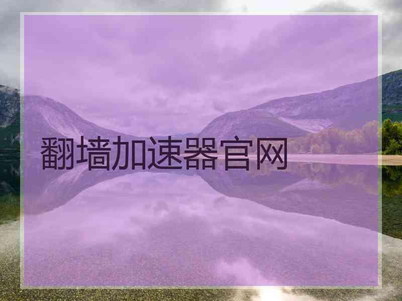 翻墙加速器官网