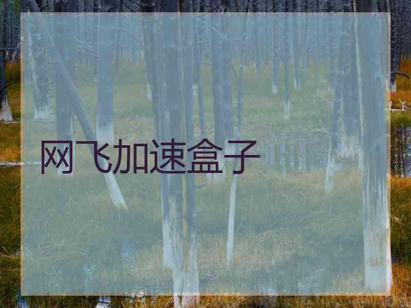 网飞加速盒子