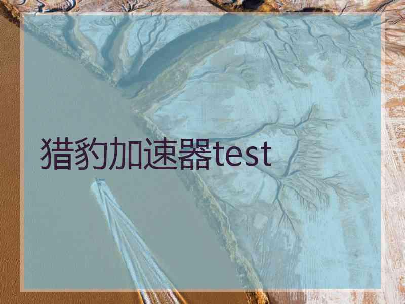 猎豹加速器test