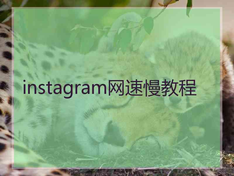 instagram网速慢教程