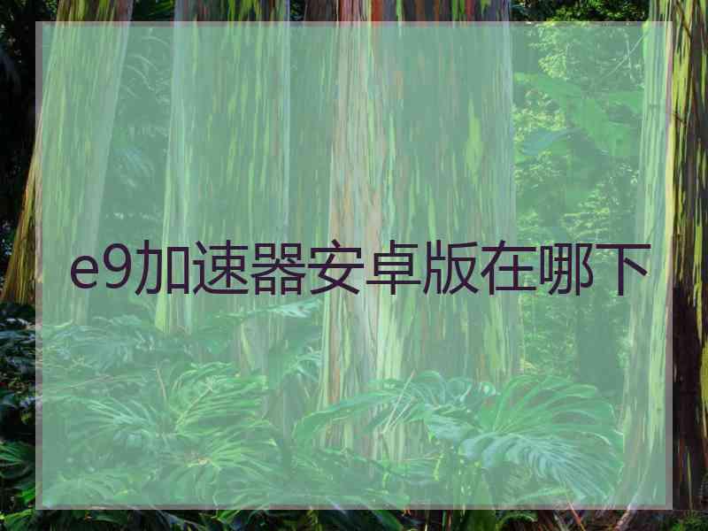 e9加速器安卓版在哪下
