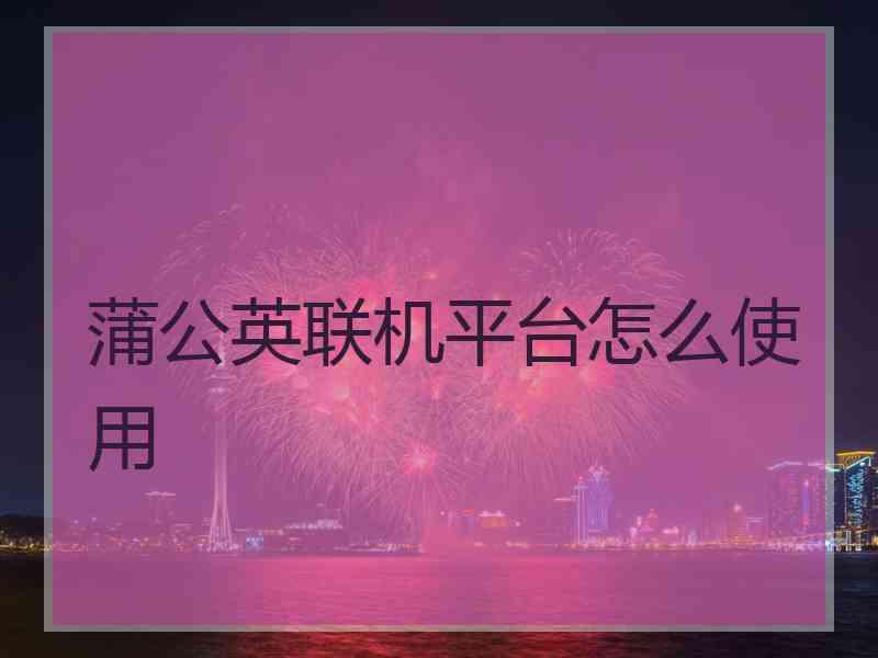 蒲公英联机平台怎么使用