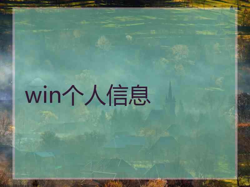 win个人信息