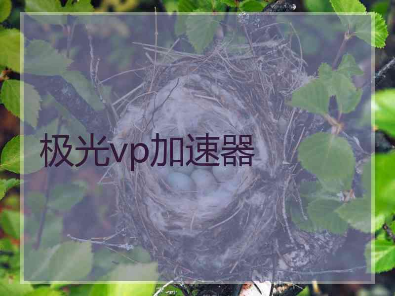 极光vp加速器