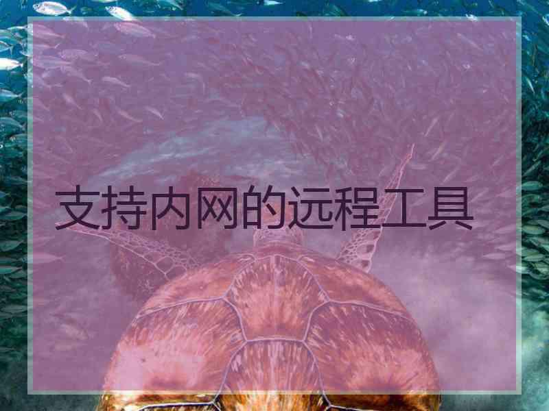 支持内网的远程工具