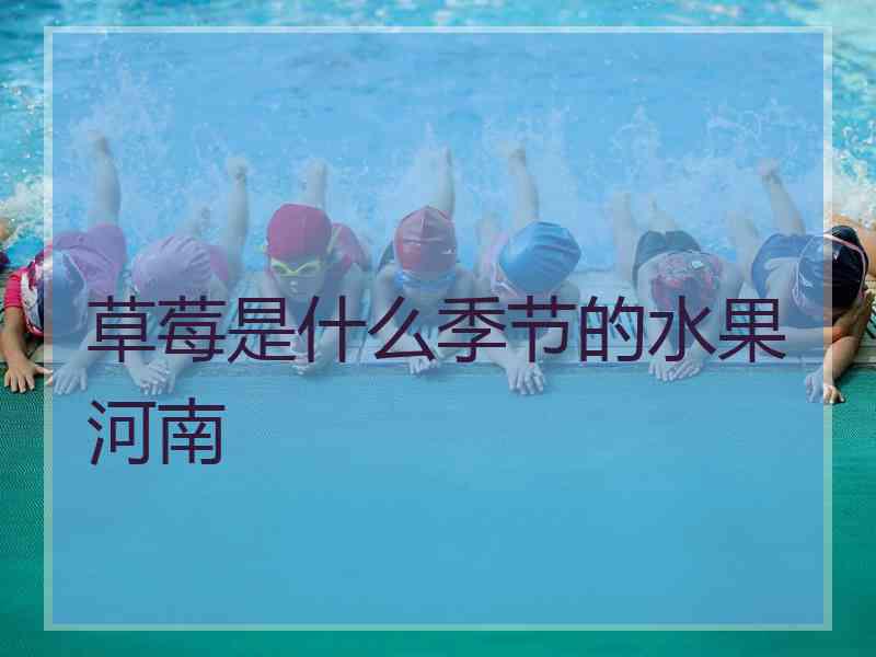 草莓是什么季节的水果河南