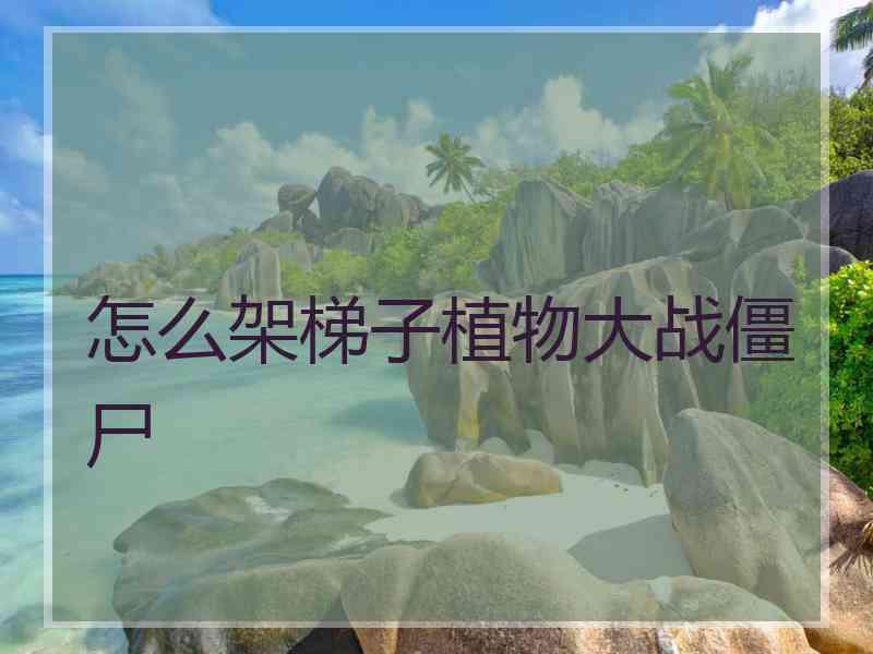 怎么架梯子植物大战僵尸
