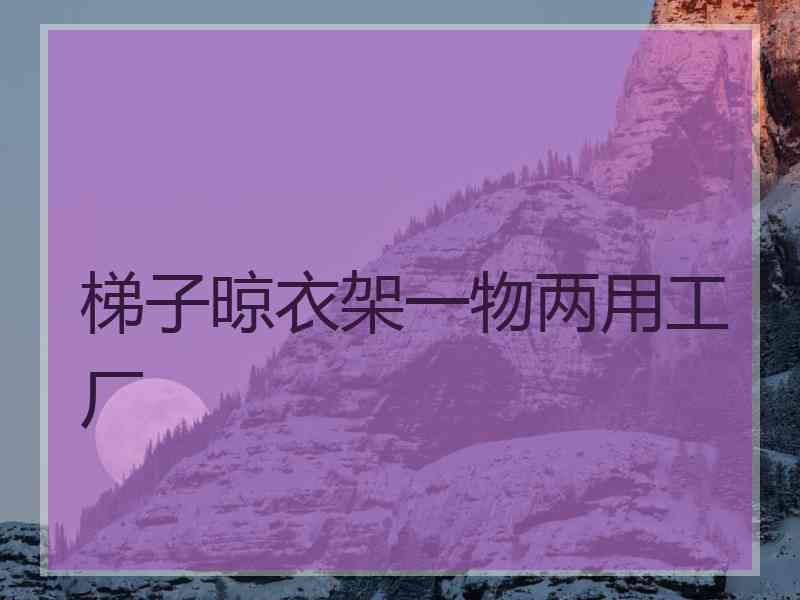 梯子晾衣架一物两用工厂