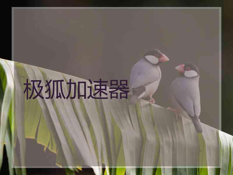 极狐加速器