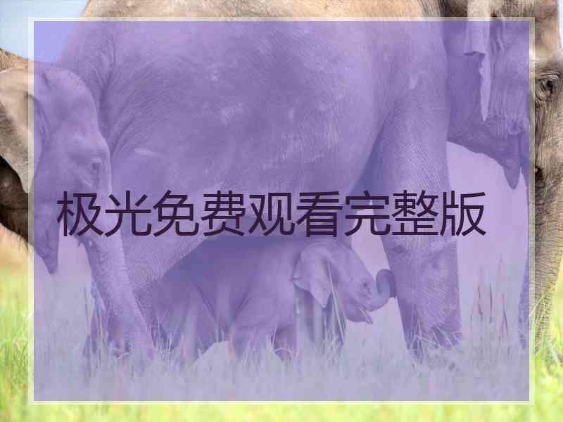 极光免费观看完整版