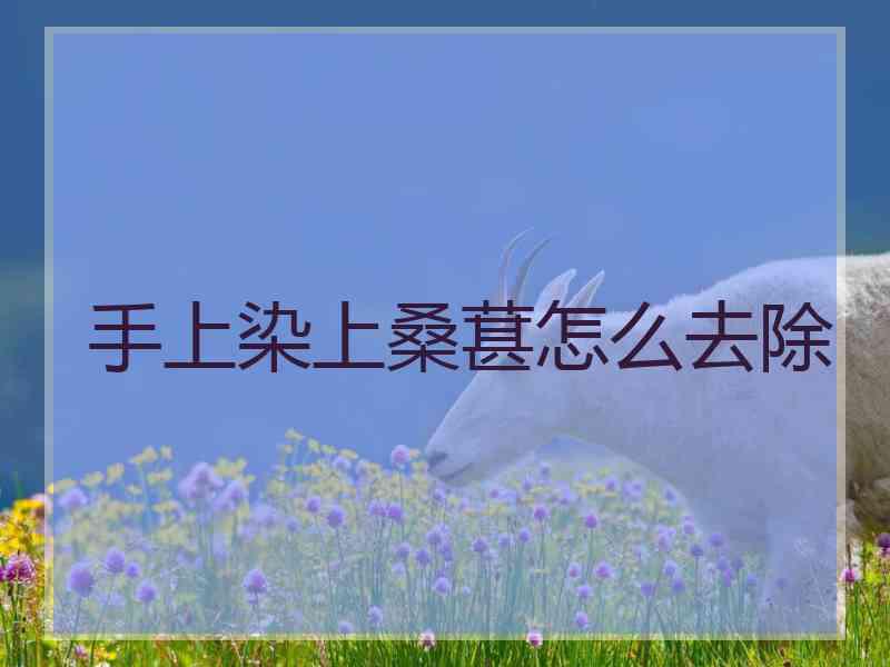 手上染上桑葚怎么去除