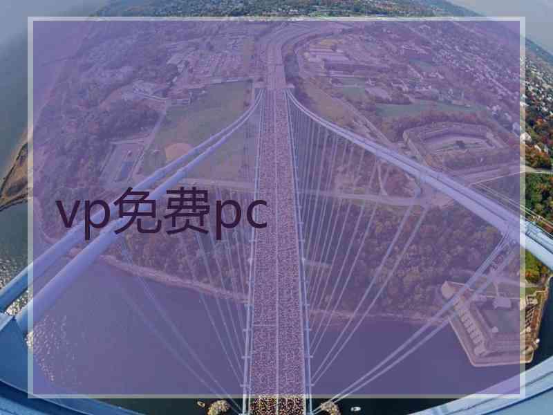 vp免费pc