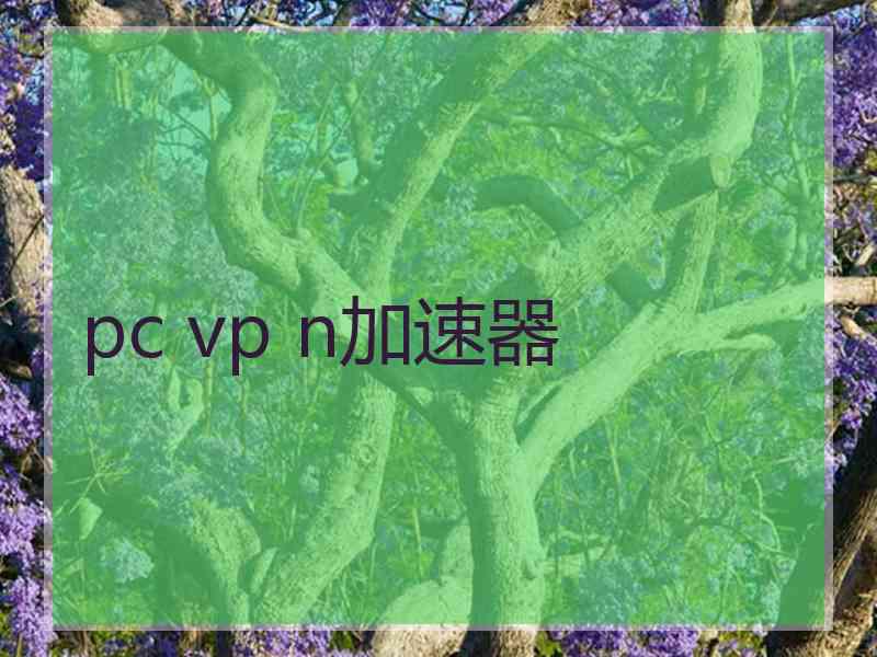 pc vp n加速器