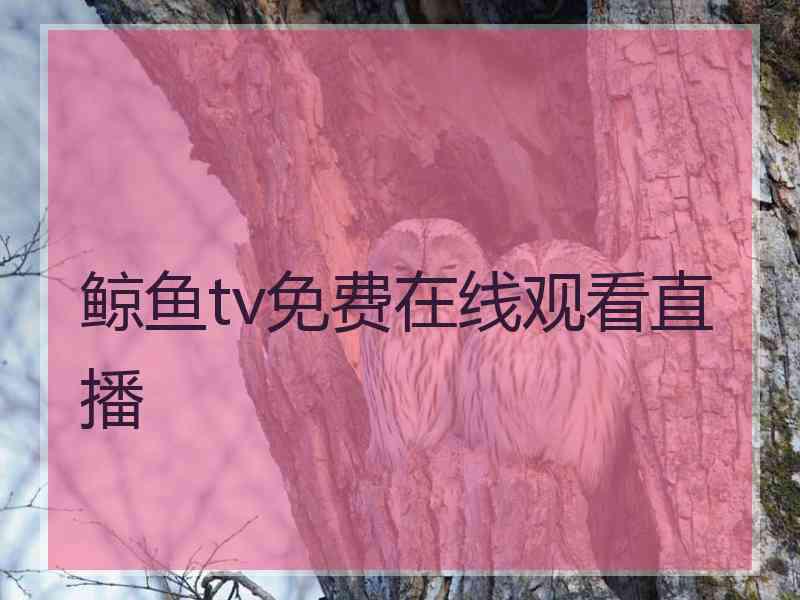 鲸鱼tv免费在线观看直播