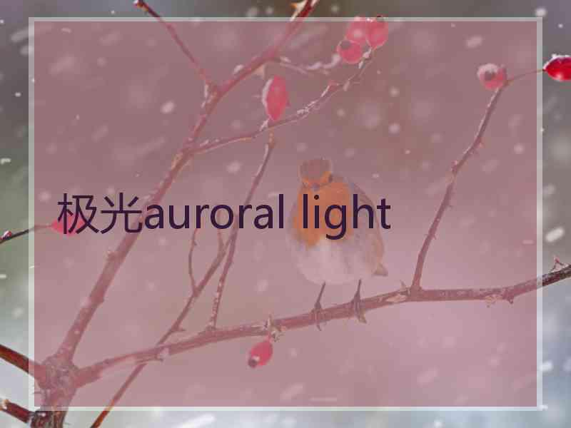 极光auroral light