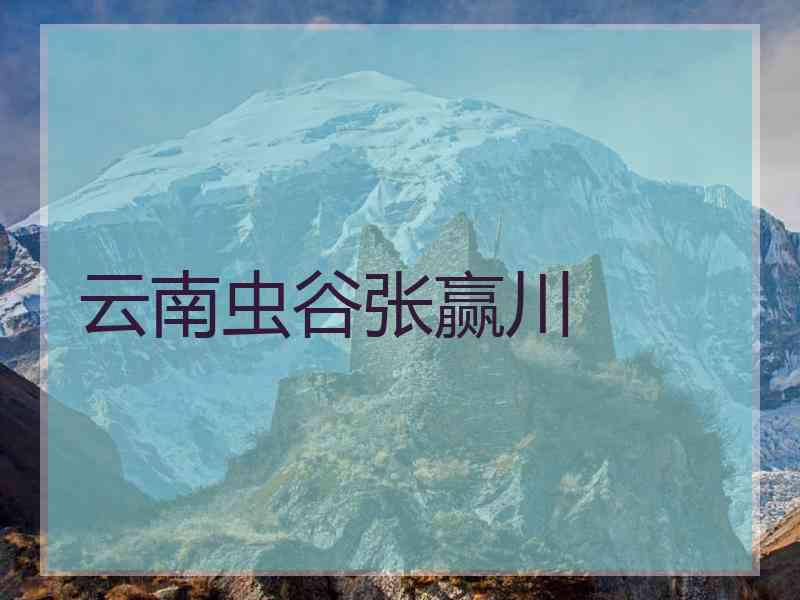 云南虫谷张赢川