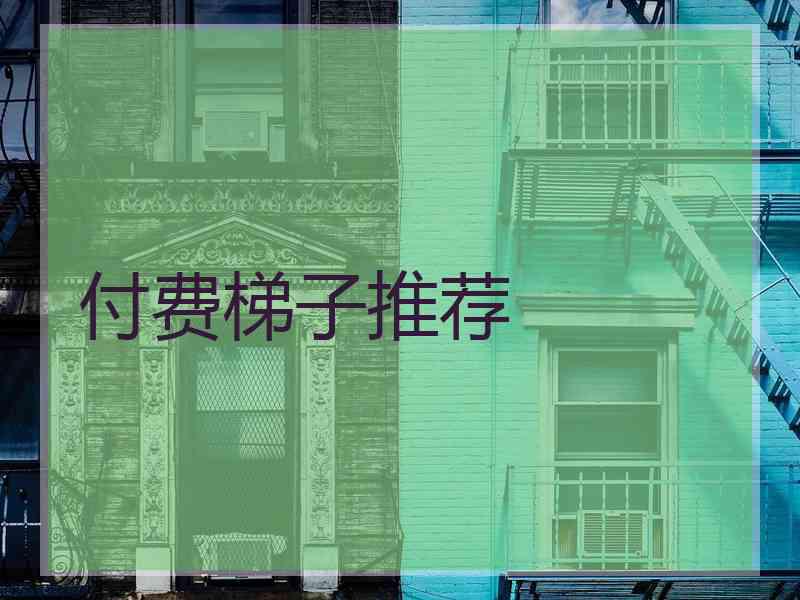 付费梯子推荐