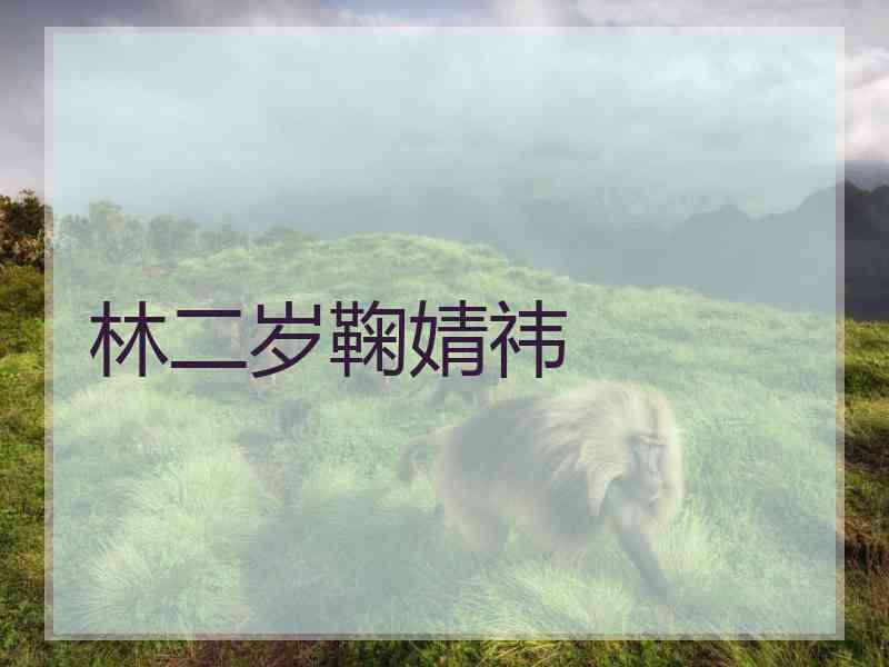 林二岁鞠婧祎