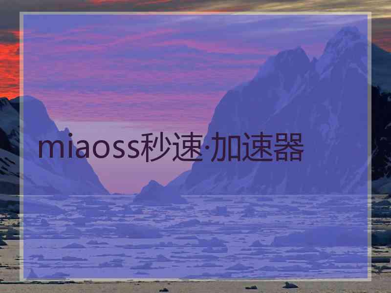 miaoss秒速·加速器