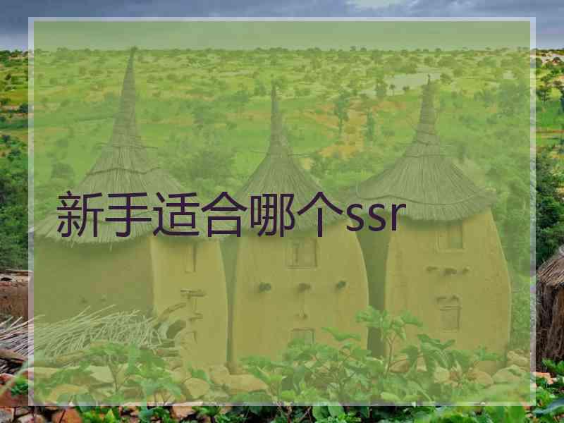 新手适合哪个ssr