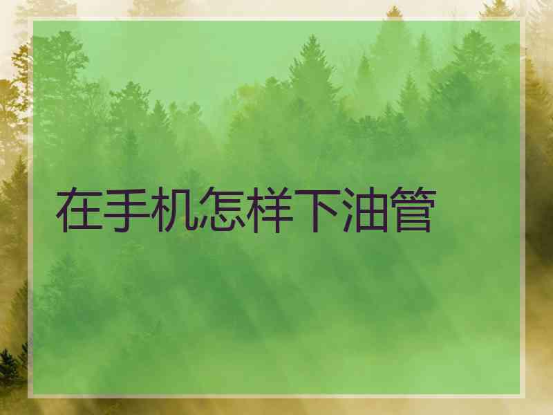 在手机怎样下油管