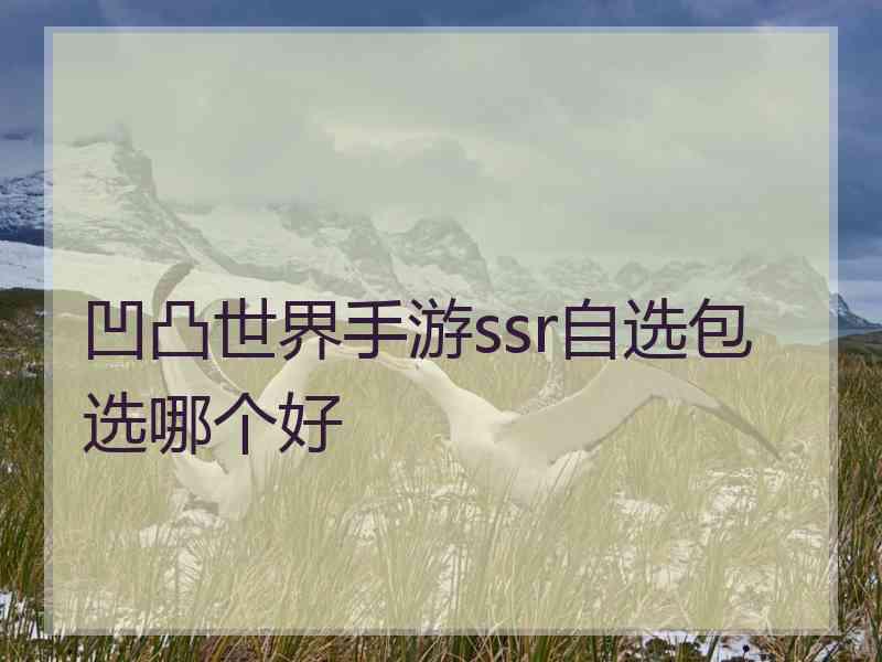 凹凸世界手游ssr自选包选哪个好