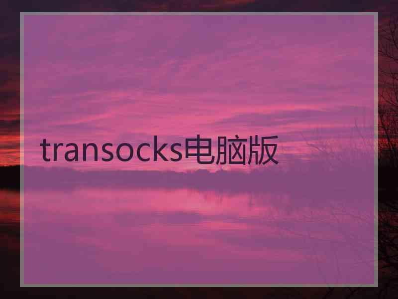 transocks电脑版