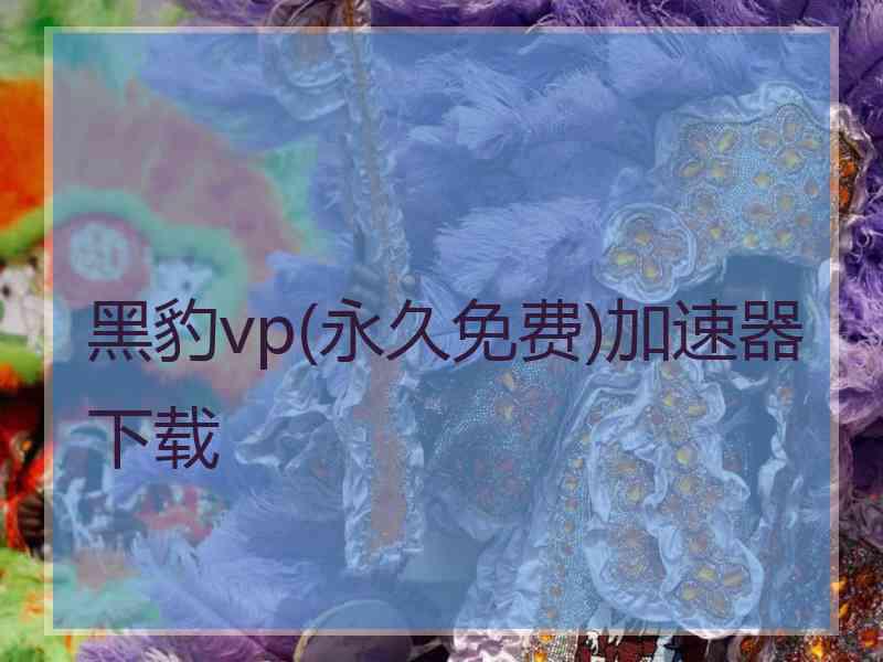 黑豹vp(永久免费)加速器下载