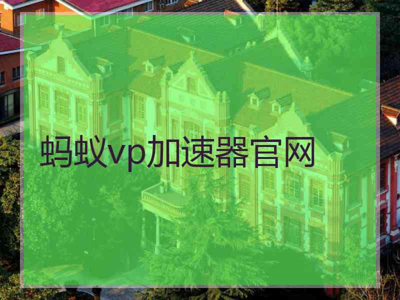 蚂蚁vp加速器官网