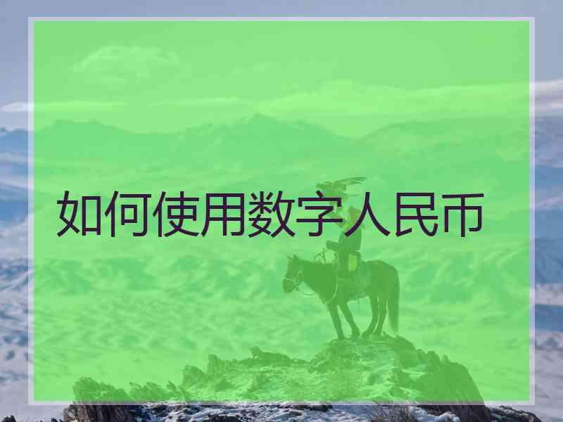如何使用数字人民币