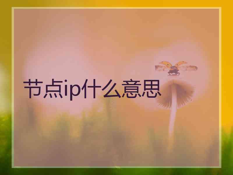 节点ip什么意思