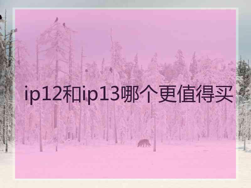 ip12和ip13哪个更值得买