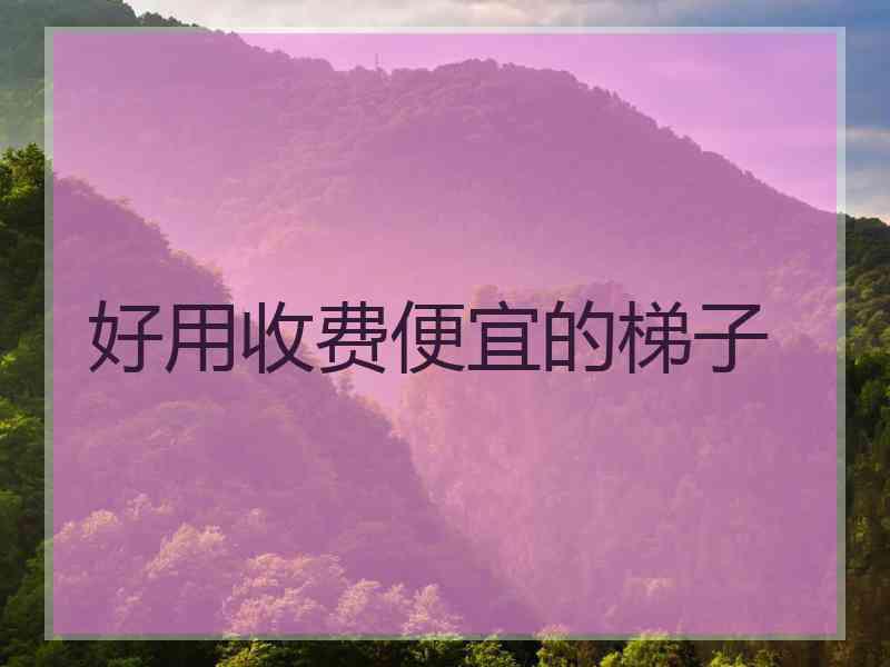 好用收费便宜的梯子