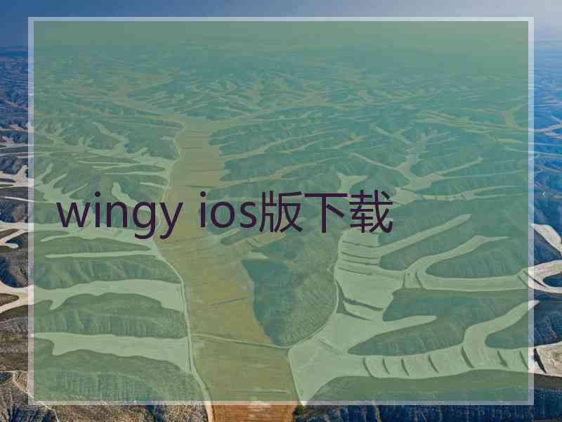 wingy ios版下载