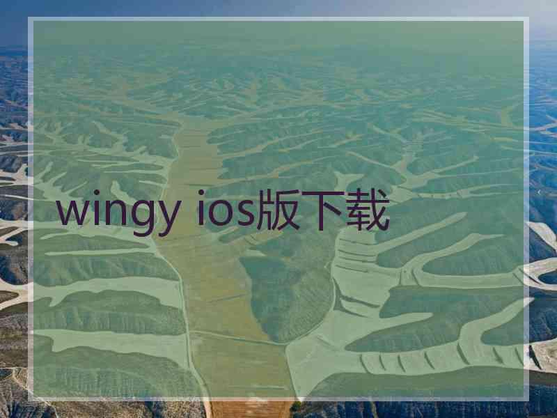 wingy ios版下载