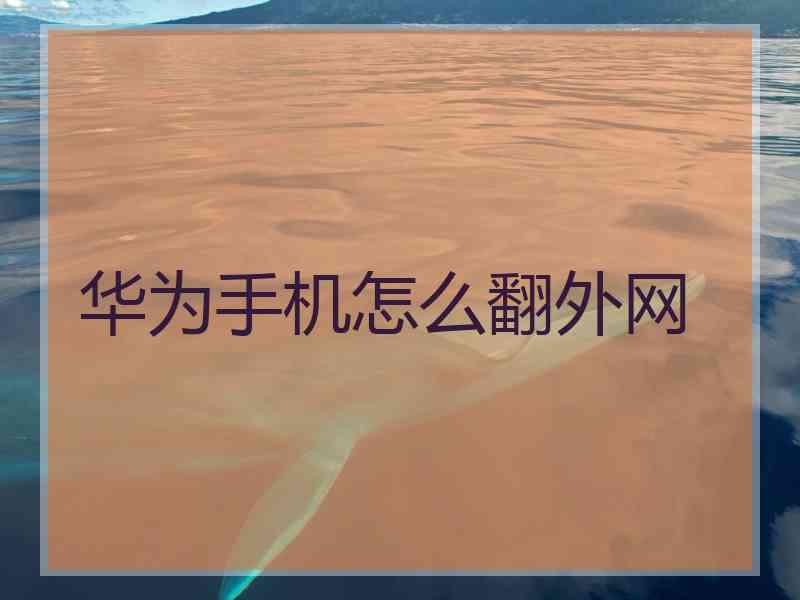 华为手机怎么翻外网