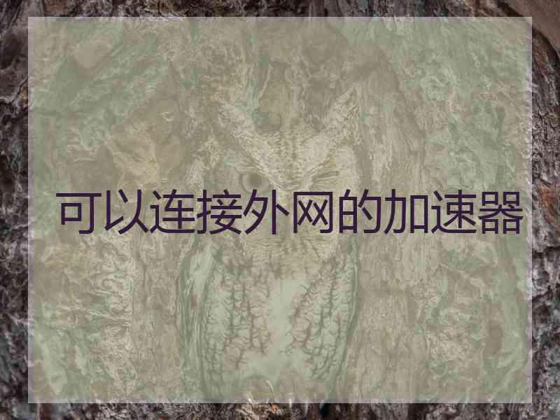 可以连接外网的加速器