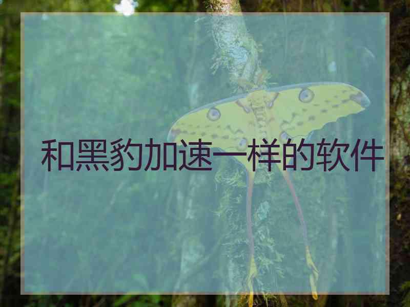 和黑豹加速一样的软件