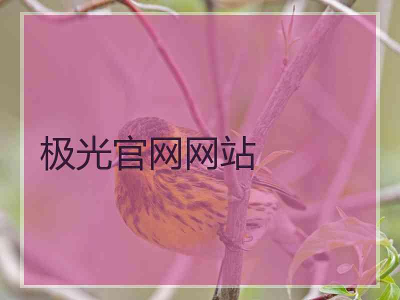 极光官网网站