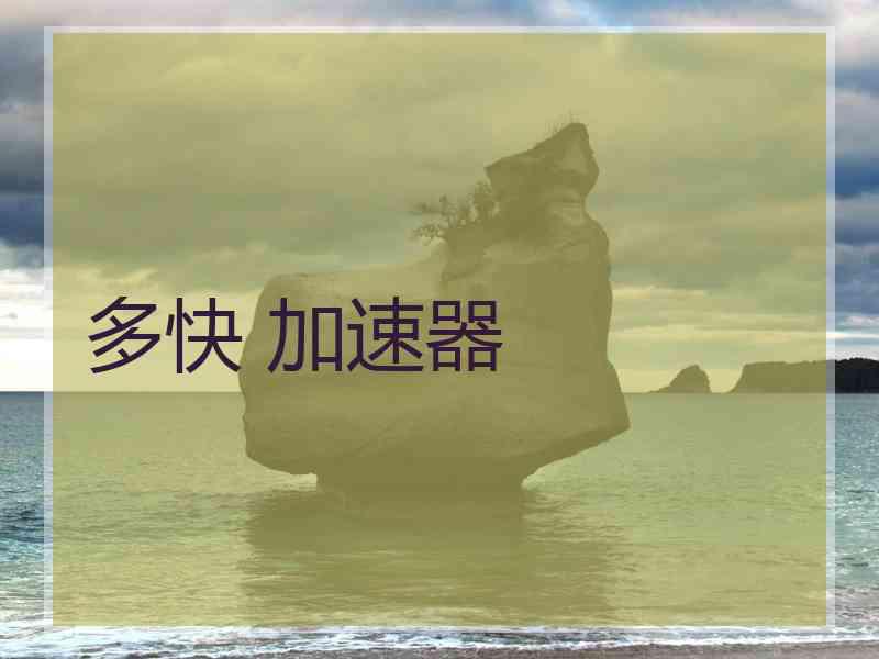 多快 加速器