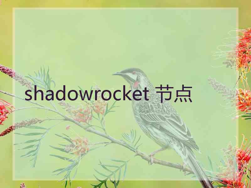 shadowrocket 节点