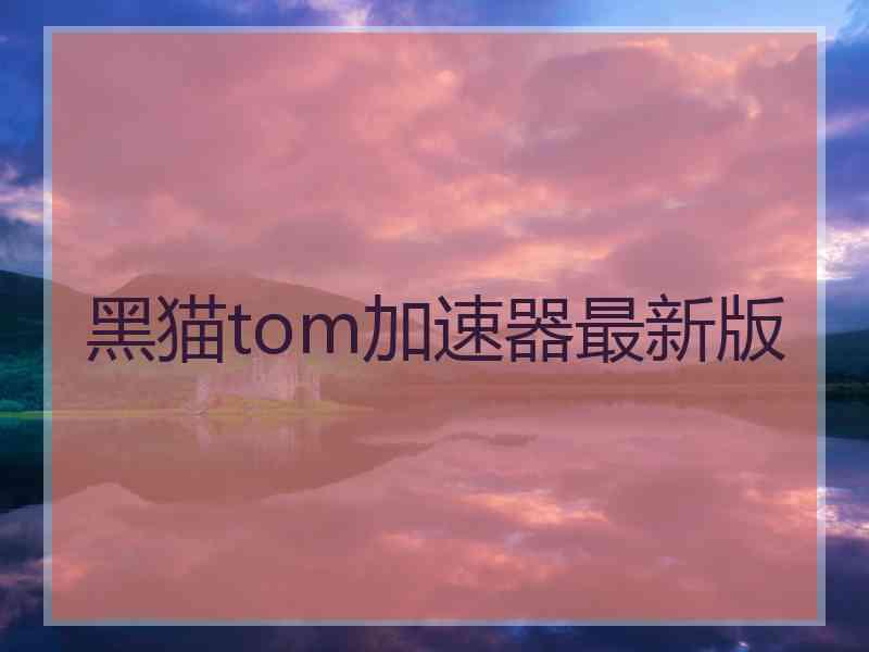 黑猫tom加速器最新版
