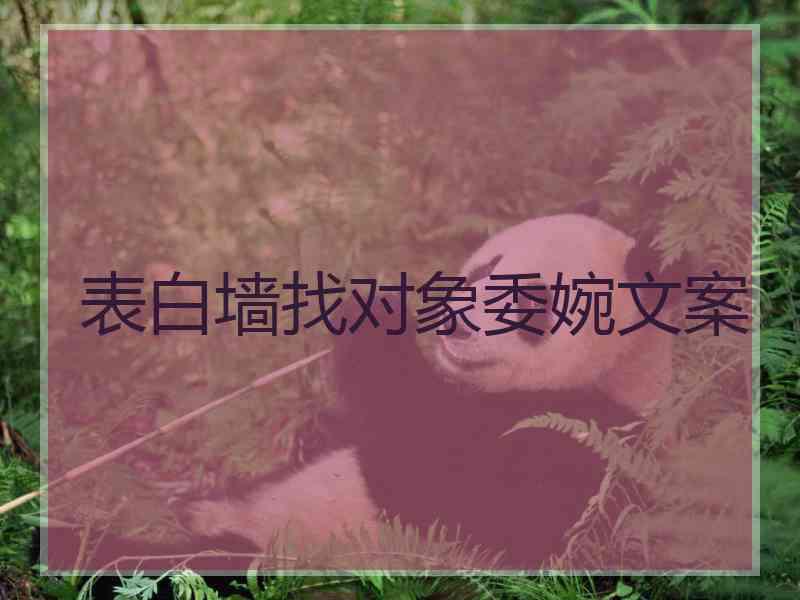 表白墙找对象委婉文案