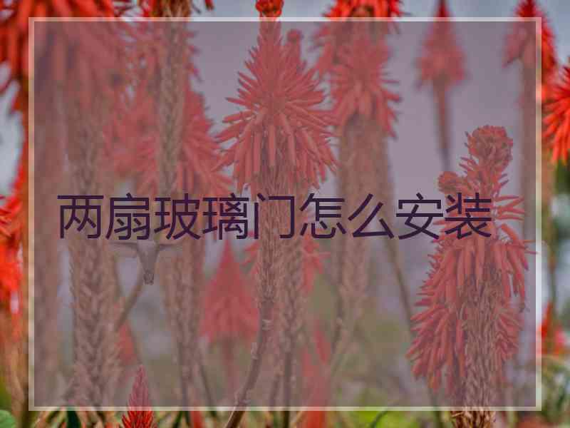 两扇玻璃门怎么安装
