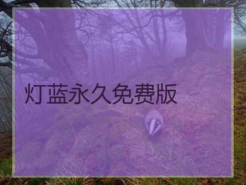 灯蓝永久免费版